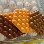 Bubble Waffle Model Manufacturer - OEM Custom Hong Kong Cultural Snack