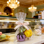 Donut Model Manufacturer - OEM Custom 4inch Plastic Chocolate Set