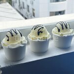 Donut Model Manufacturer - OEM Custom Tropical Fruits Round 3.3inch