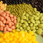 Coffee Bean Model Factory - OEM Custom PVC Simulation Corn Kernel