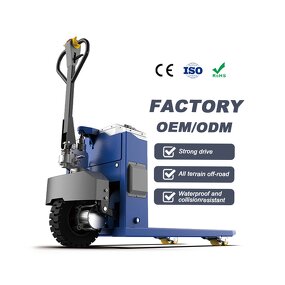All-Electric Pallet Truck Manufacturer - OEM 3000KG 3Ton Hot Selling Self-Propelled