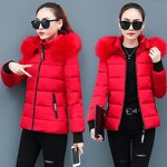 Puffer Jacket Manufacturer - OEM Custom Women's Short Down Winter Coat