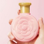 护肤保湿嫩手霜OEM BIOAQUA滋养