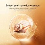 新SADOER自有品牌蜗牛精华紧致抗皱抗衰老眼霜