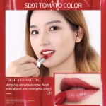 新到货自有品牌SENANA彩妆防水光滑10色口红