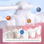 OEM VENZEN Private Label Teeth Whitening Keep Oral Clean Oral Care Deep Cleansing Tooth Powder