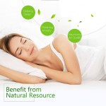 自定义标志顶级12纯油礼品套装扩散器，加湿器，按摩，芳香疗法，皮肤和头发护理芳香精油