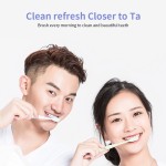 YASHIDA去除污渍有机活性深层清洁薄荷清新牙齿美白牙膏