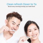 100g OEM ODM薄荷柠檬去除污渍有机活性成人牙膏