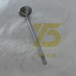 Excavator Valve Intake Manufacturer - OEM YUE CAI 4688824 for 3508 3512B