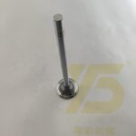 Engine Valve Manufacturer - OEM YUE CAI 122-0321 for 3412 3406 3408