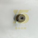 Check Valve GP Manufacturer - OEM YUE CAI 2812725 for C11 C12 C13
