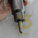 Excavator Injector Nozzle Factory - OEM YUE CAI 20440388 EC340 D12D