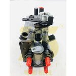 DP200 Diesel Fuel Injection Pump Factory - OEM YUE CAI 8923A952G for DARWIN