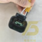 Wiring Harness Factory - OEM YUE CAI 204-1816 for C13 5403857