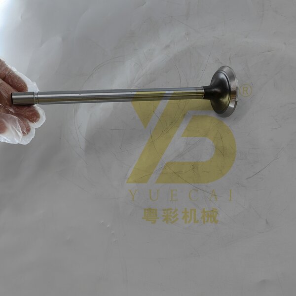 Valve Exhaust Factory - OEM YUE CAI 468-8825 for Engine 3508 3512