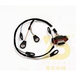 Fuel Injector Wiring Harness Factory - OEM YUE CAI 372-4546 for 345D C13