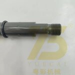 D4D Engine Fuel Injector Manufacturer - OEM YUE CAI 24425916 Deutz BF4M2012