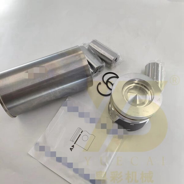 Overhaul Repair Set Factory - OEM YUE CAI 04501382 for D6E Engine