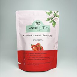 Stand up Pouch Factory - OEM Custom Printed Full Color Recyclable