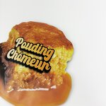 Mylar Zipper Bags Manufacturer - OEM Low MOQ Holographic Digital Printing