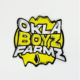 Plastic Bag Factory - OEM Custom Printed BOPP Die Cut Child-Proof