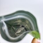 Stand up Pouch Manufacturer - OEM Factory Price Custom Recyclable