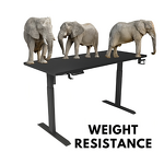 Electronic Ergonomic Height Adjustable Table Factory - OEM Wholesale 2 Legs