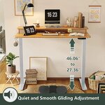 Dual Motor Electric Standing Table Manufacturer - OEM Factory Manufacturer