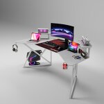 Computer Lab Table Manufacturer - OEM Factory Wholesale Director Desk Table