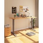 Electric Dual-motor Standing Desk Manufacturer - OEM Comfortable Steel Auto