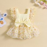 Baby Girl Dress Manufacturer - OEM Summer Princess Flying Sleeve
