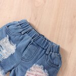 Girls Clothing Set Supplier - OEM Mesh Puff Sleeve Set