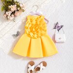 Baby Girl Dress Supplier - OEM Summer Sleeveless Flower Dress