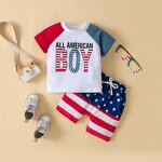 Children Clothes Supplier - OEM Summer Cotton Casual Set