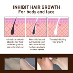 Wholesale Snake Oil Hair Growth Inhibition Spray Non-irritating Stop Hair Spray