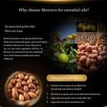 Morocco Argan Oil Hair Care Nourishing Products Repairing Frizzy Dry Hair and Leaving it Supple