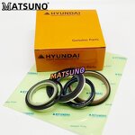 Hydraulic Cylinder Seal Kit Factory - R220LC-9S Excavator Arm