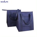 Tote Insulated Bag Factory - OEM 20L Hot Pressed Non-Woven