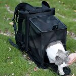 Cat Backpack Supplier - OEM Expandable Large Capacity Foldable