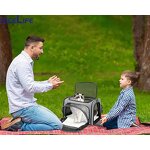 Pet Travel Carrier Factory - OEM Airline Approved Expandable Soft-Sided