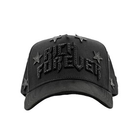 Baseball Cap Factory - OEM Embroidery Cotton Chrome Curved