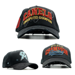 Baseball Cap Factory - OEM Suede 3D Embroidery Curved Brim