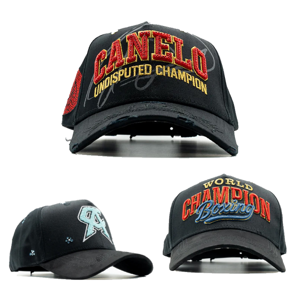 Baseball Cap Factory - OEM Suede 3D Embroidery Curved Brim