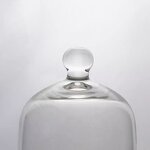 Bell Jar Factory - No.1371 Clear with Knob Top Laboratory