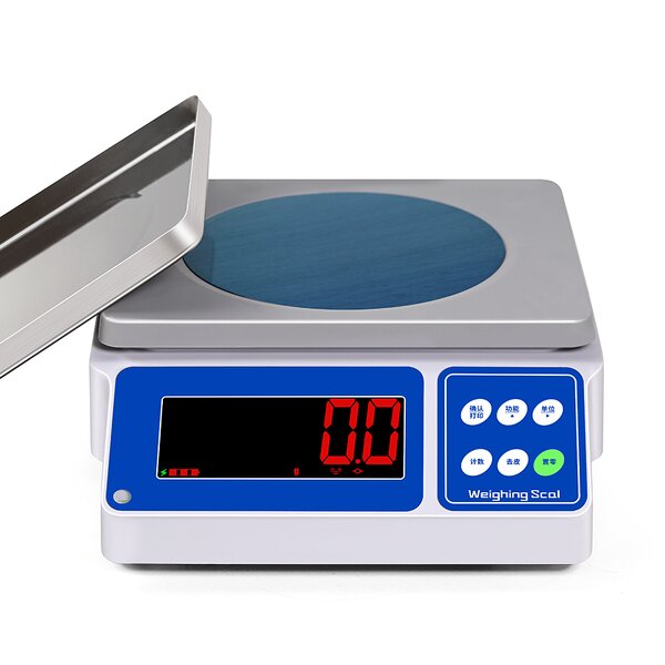 Bench Counting Scale Factory - RSB15001W 15kg*0.1g 290 X 230mm
