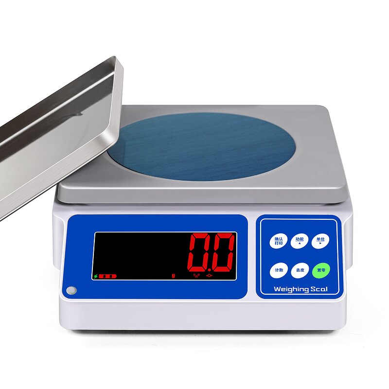 Bench Counting Scale Factory - RSB15001W 15kg*0.1g 290 X 230mm