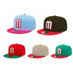 Snapback Cap Supplier - OEM Factory Cheap Blank Vintage Polyester