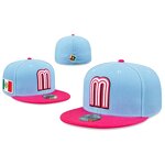 Snapback Cap Supplier - OEM Factory Cheap Blank Vintage Polyester