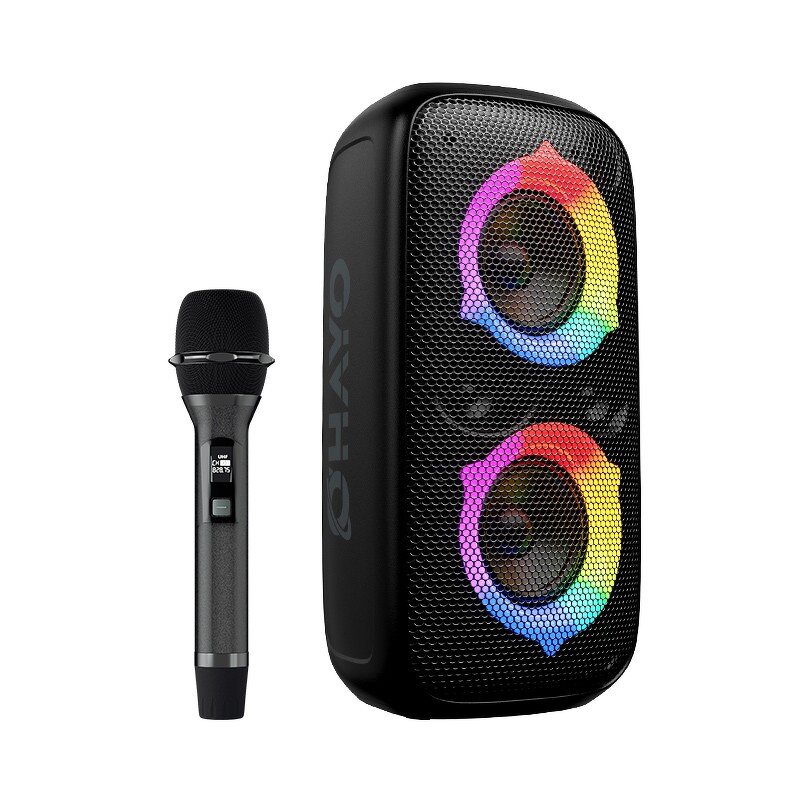 Portable Party Box Factory - OEM 80W with Subwoofer Heavy Bass